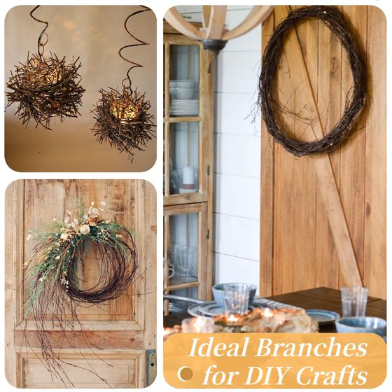 40Pcs Dried Birch Twigs 17” Natural Birch Branches for Easter Vases, Curly Willow Branches, DIY, Floral Arrangement, Twig Wreath, Centerpiece, Rustic Home Decor