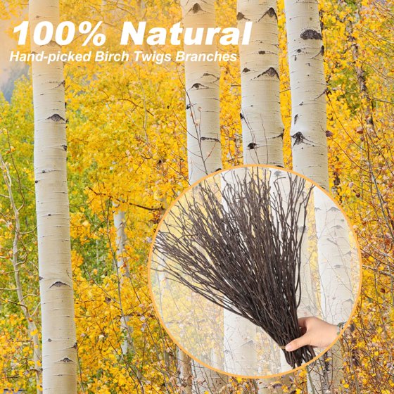 40Pcs Dried Birch Twigs 17” Natural Birch Branches for Easter Vases, Curly Willow Branches, DIY, Floral Arrangement, Twig Wreath, Centerpiece, Rustic Home Decor